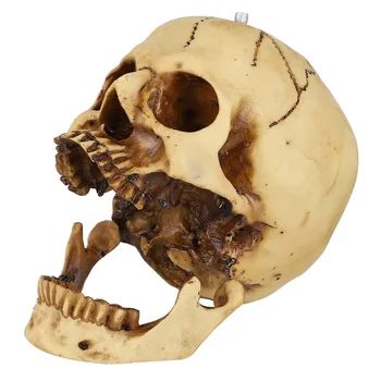 

1 Pc Halloween Resin Adornment Durable Party Props Resin Skull Skull Head Decor for Haunted House