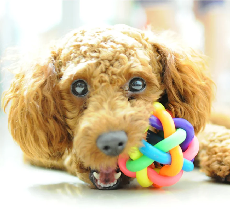 Интерактивный для больших собак, питомцев, Радужный мяч для собаки, разноцветный колокольчик, резиновая игрушка, собака, устойчивая к укусам, зубная щетка для собак