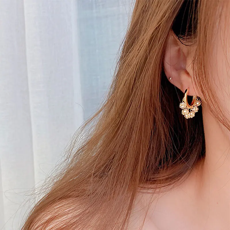 Ins Hot Shine Cz AAA Zircon Exquisite Earrings Temperament Circle Earring Pop Exquisite Luxury Jewelry Simple Classic Earrings - Image 4