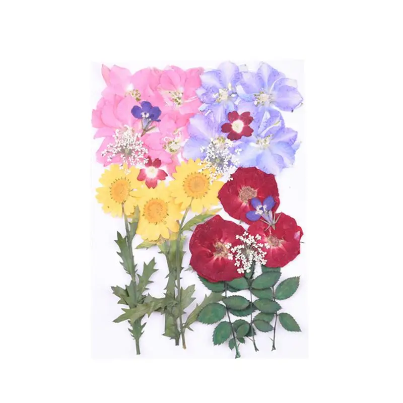 

1 Sheet of 24pcs Dried Flowers Stickers Dried Flowers DIY Pressed Flower Floral Real Natural Arm Collarbone Stickers Decals