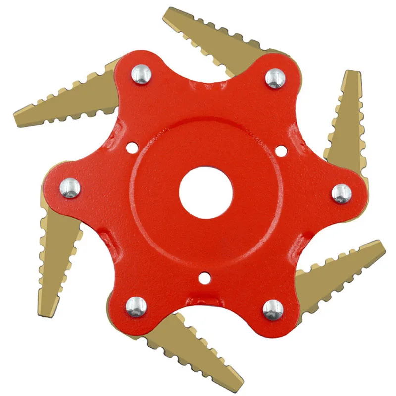 12123880451_1185384007