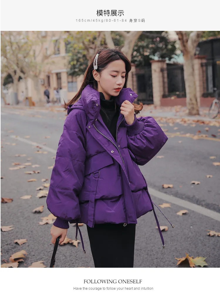 Lantern Sleeve Cotton Coat Women's Autumn And Winter New Style Korean-style Solid Color Hooded down Coat Loose-Fit Students