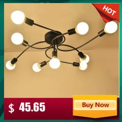 retro Ceiling Lights lamp For Living Room bedroom Ceiling lamps vintage light lampara de techo Wrought Iron Luminaria Lighting