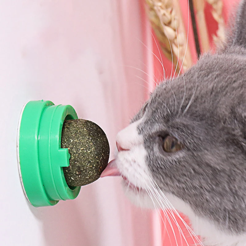 

Pet Catnip Toy Edible Catnip Ball Toy Safety Healthy Cat Mint Cats Home Chasing Game Toy Pet Teeth Clean Chew Toy Cat Toys NEW