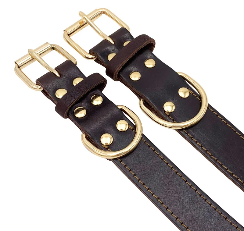 dog collar for large dogs-