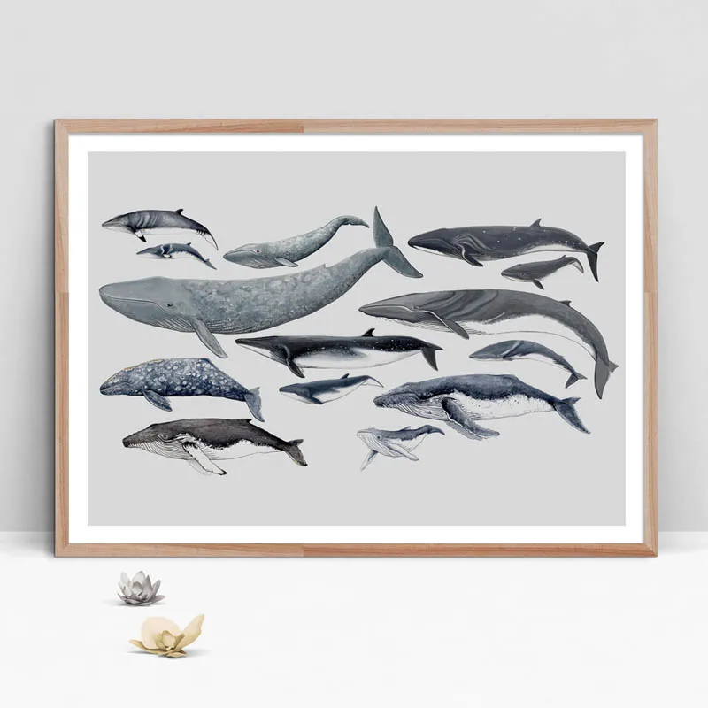 Whale-Dolphin-Marine-Life-Animals-Art-Prints-Wall-Art-Canvas-Painting-Nordic-Posters-And-Prints-Wall (4)