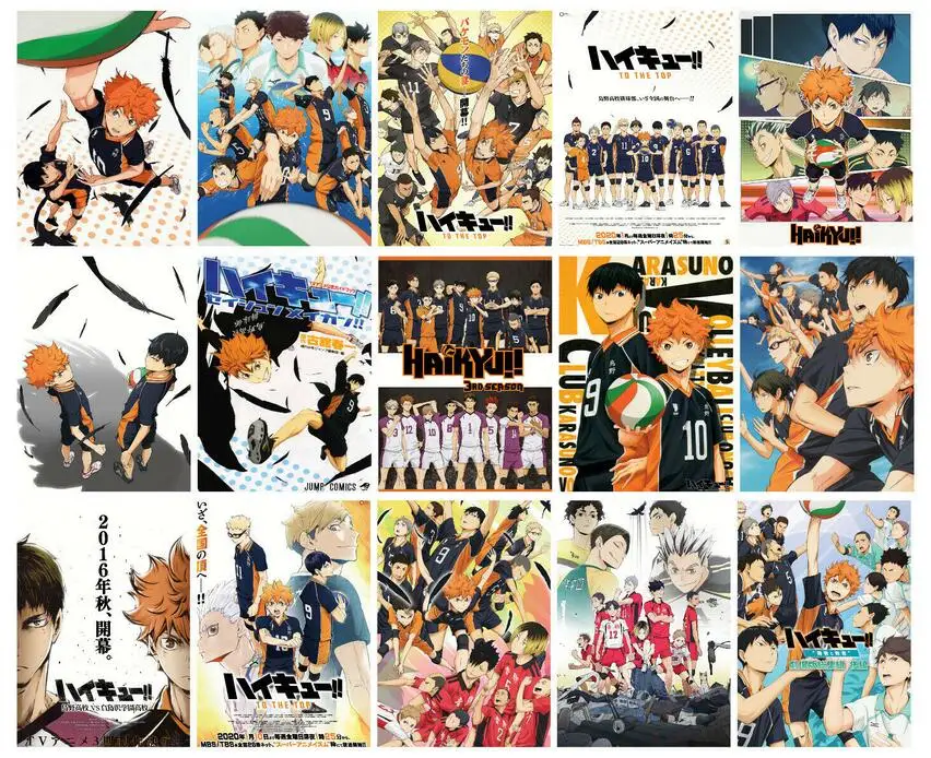 

15Style Choose Haikyuu!! Anime Manga Art Silk Print Poster