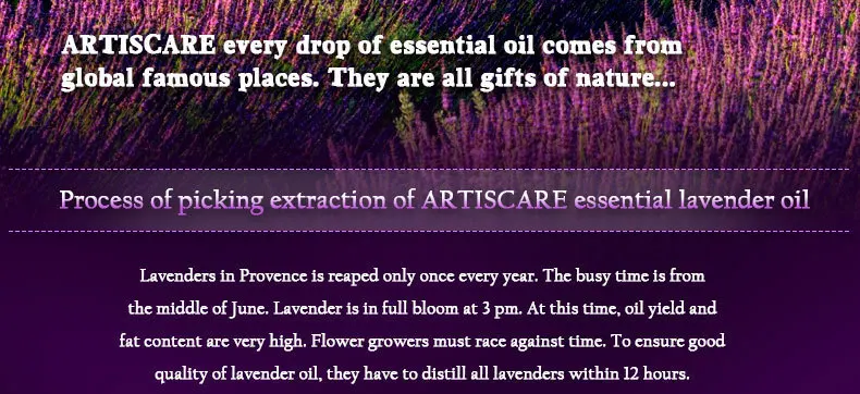 lavender_14