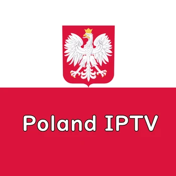 

Poland IPTV Polish IPTV Latin IPTV South American IPTV XXX M3U Enigma2 PC Android BoX IOS