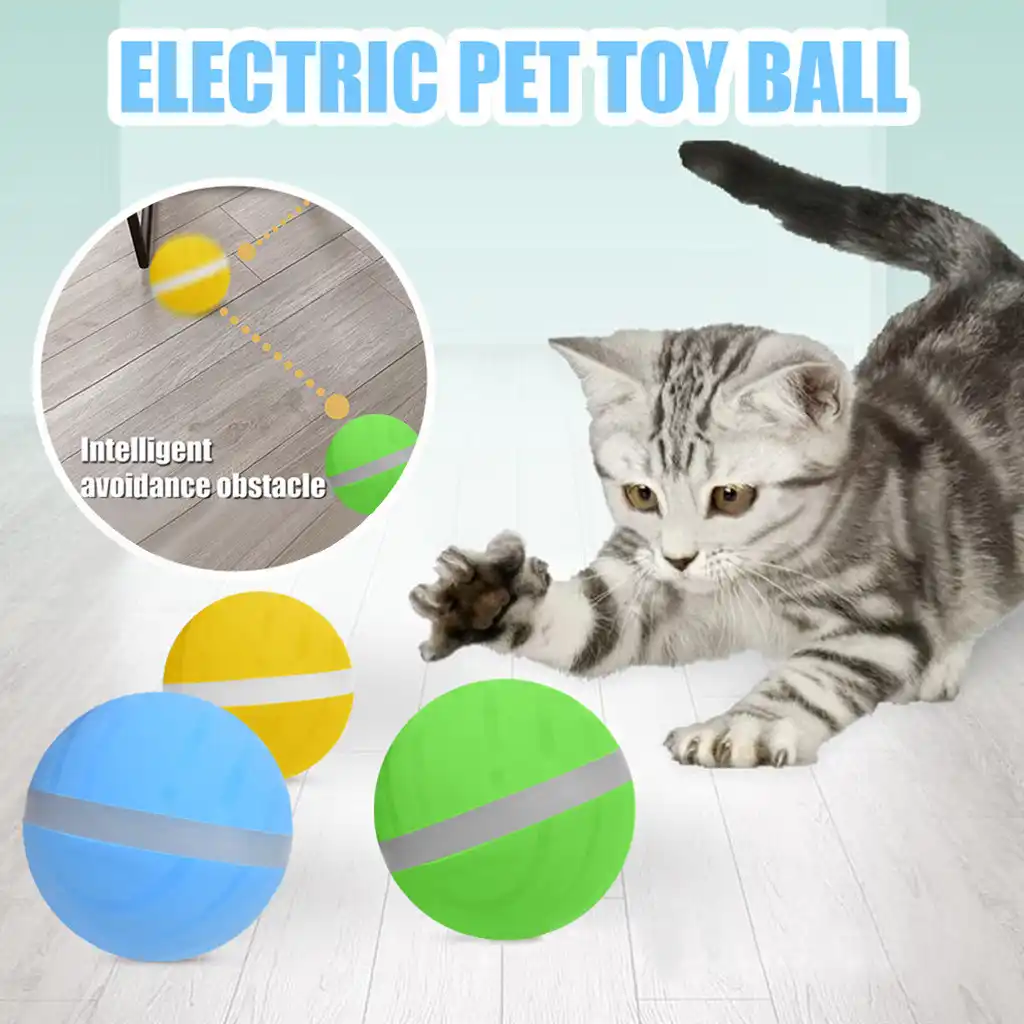 motion activated dog toys