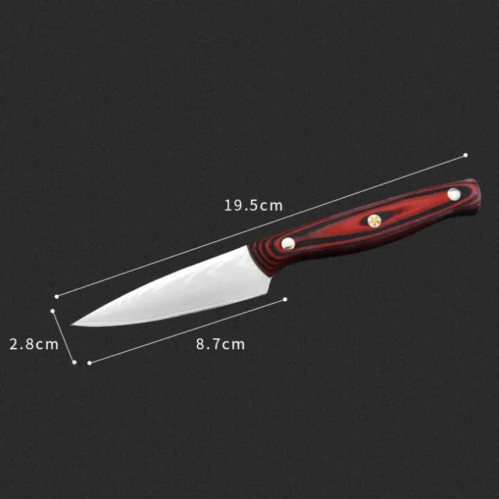 Янтарный 3," PRO Фруктовый нож дамасская сталь кухонные ножи инструменты японский VG10 ядро бритвы острое лезвие с G10 ручкой