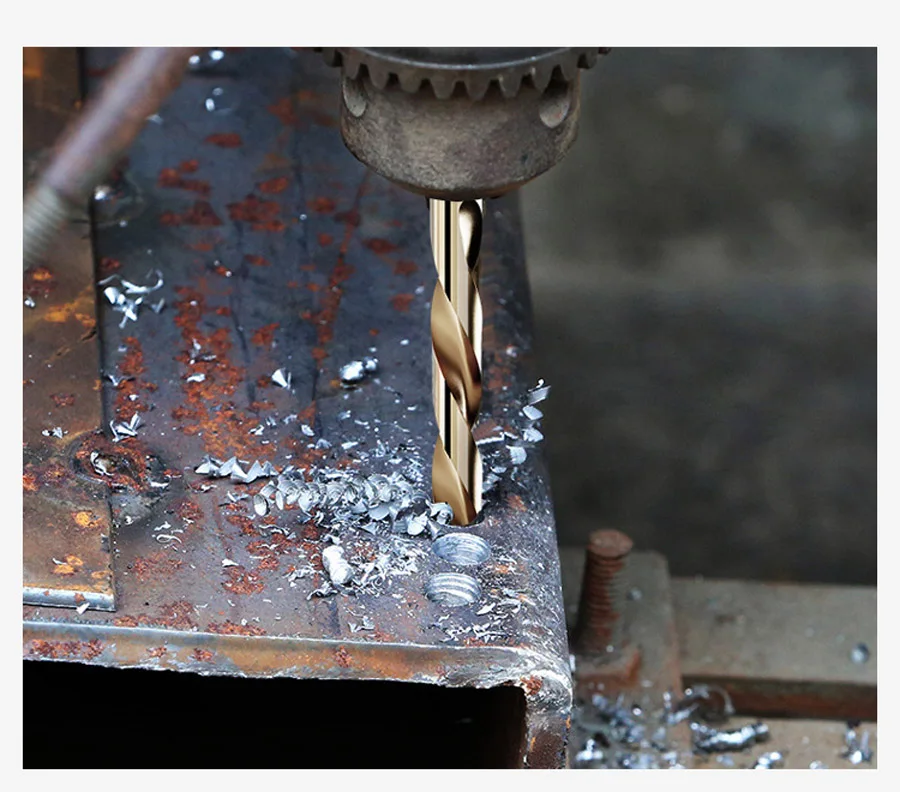 10538340730_1180556948 (1)