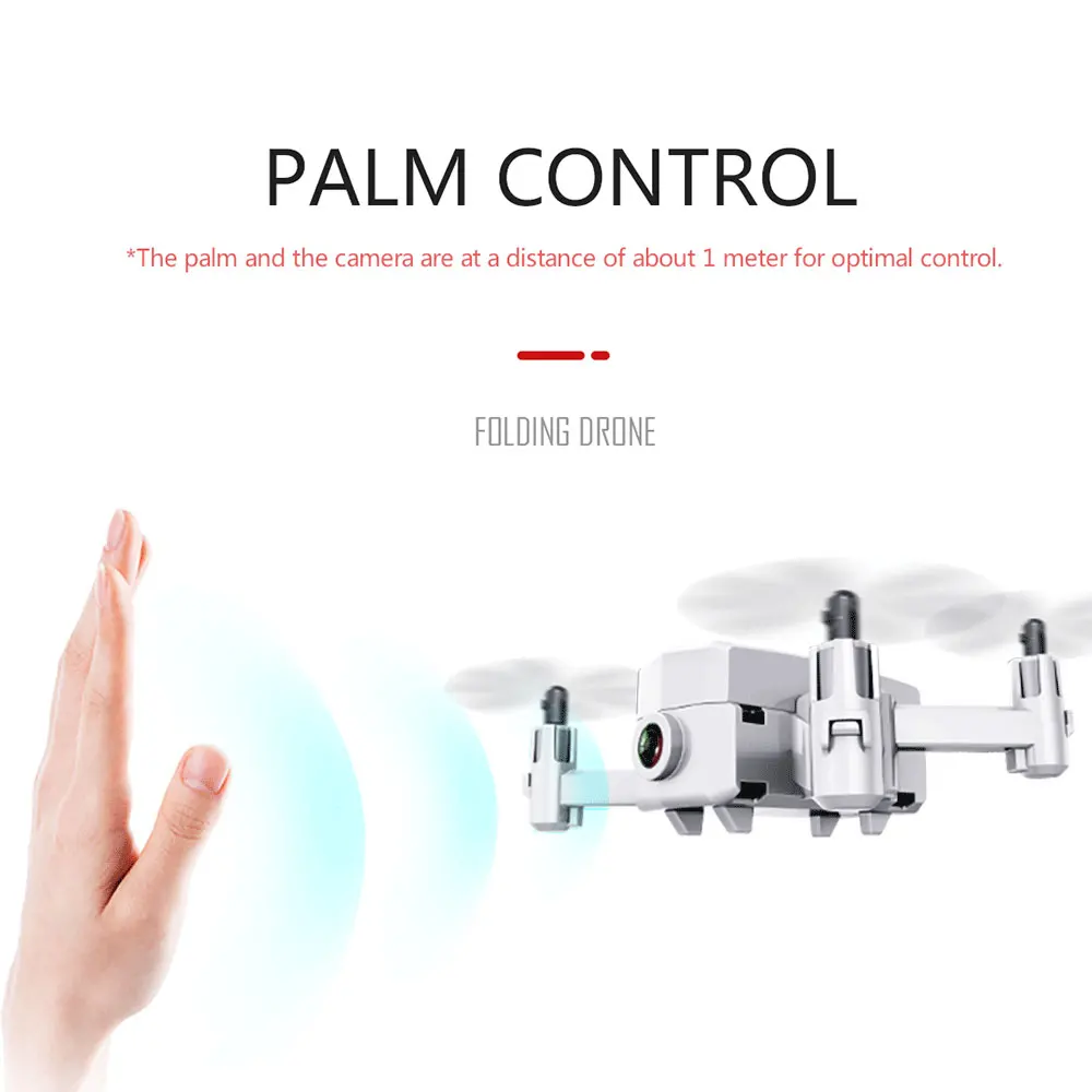 446536_afc1e9ca083b437689ed3ab0e759072d