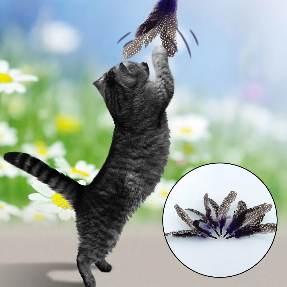 Игрушки для кошек, игрушки для кошек, перо, котенок интерактивный дом, Прямая, качественный котенок, кошки, птицы, перья, палочка, Новинка