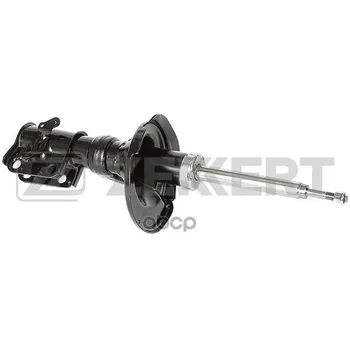

Shock absorber suspension gas. Before. Leo. Honda Civic VII 00-zekkert art. sg-4979