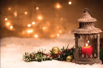 

Vinyl Custom Photography Prop Starfish Beach theme Photo Studio Background T19912-2138