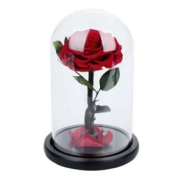 

Preserved Fresh Flower Glass Party Rose Glass Cover Eternal Flower Red Roses Floral Decor Valentine'S Day Festival Gift