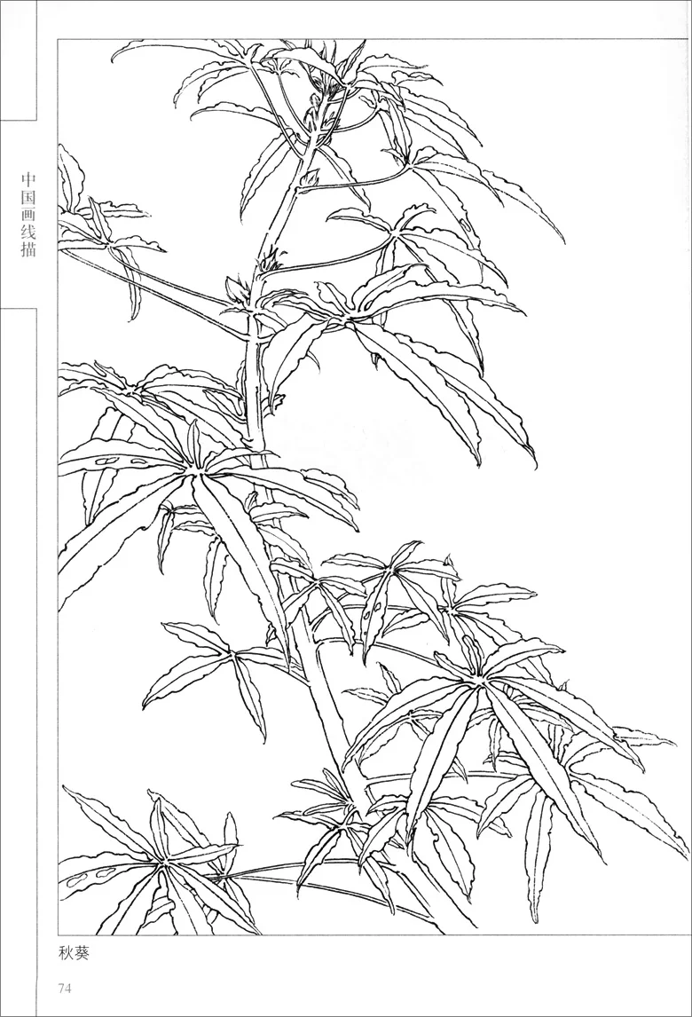 94Pages-Chinese-Painting-Hundred-Flowers-Line-Drawing-Collection-Art-Book-Adult-Coloring-Book-Relaxation-and-Anti (5)