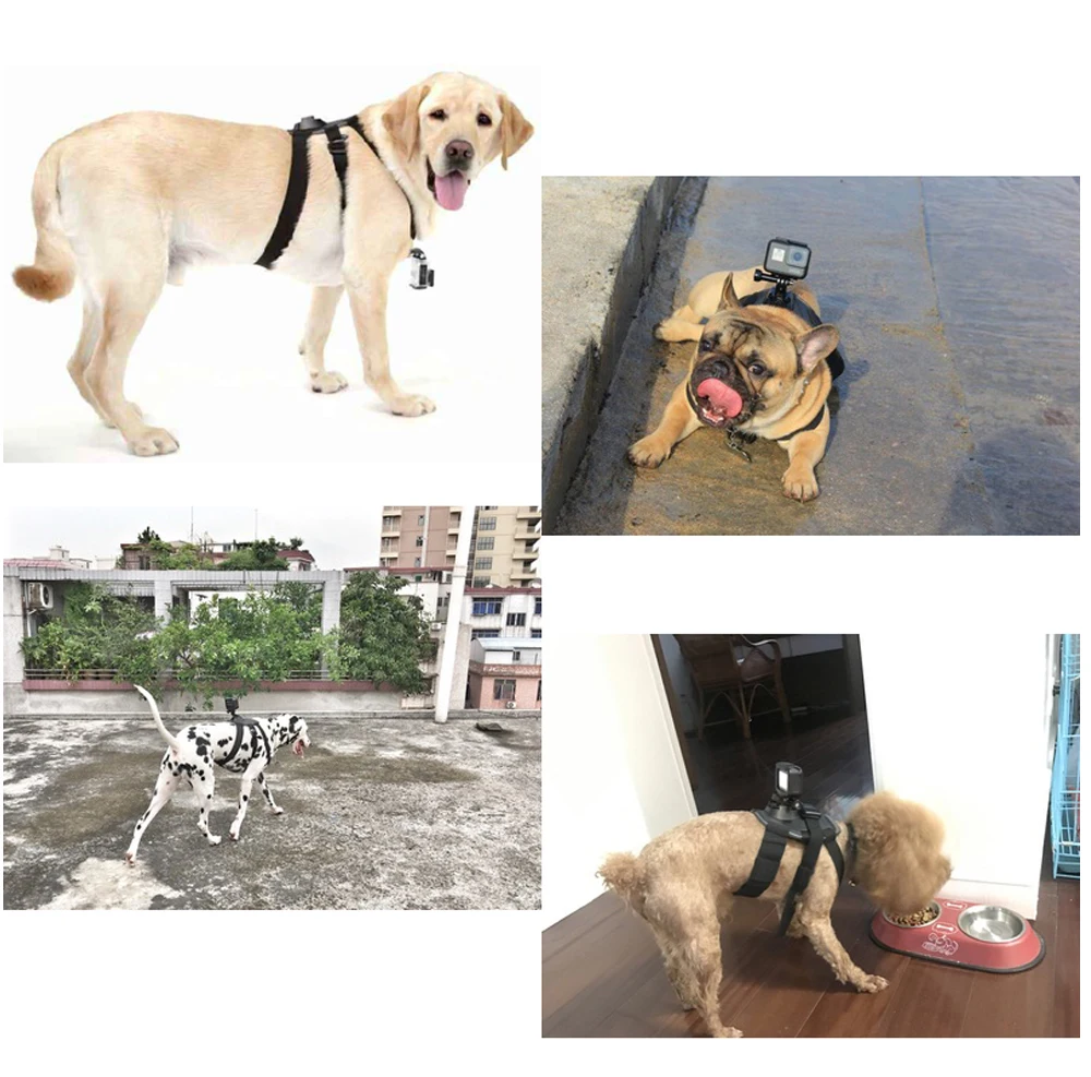 Регулируемые шлея для собаки для Gopro hero 7 6 5 4 3 поводок для собак нагрудный ремень для спортивной камеры держатель для SJCAM для Xiaoyi