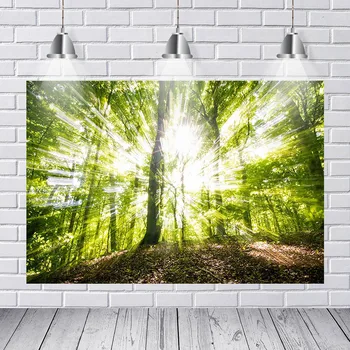 

Photography Backdrops Beautiful Green Fairy Tale Forest Alice Wonderland Trees Entrance Custom Photo Backdrop Background Vinyl