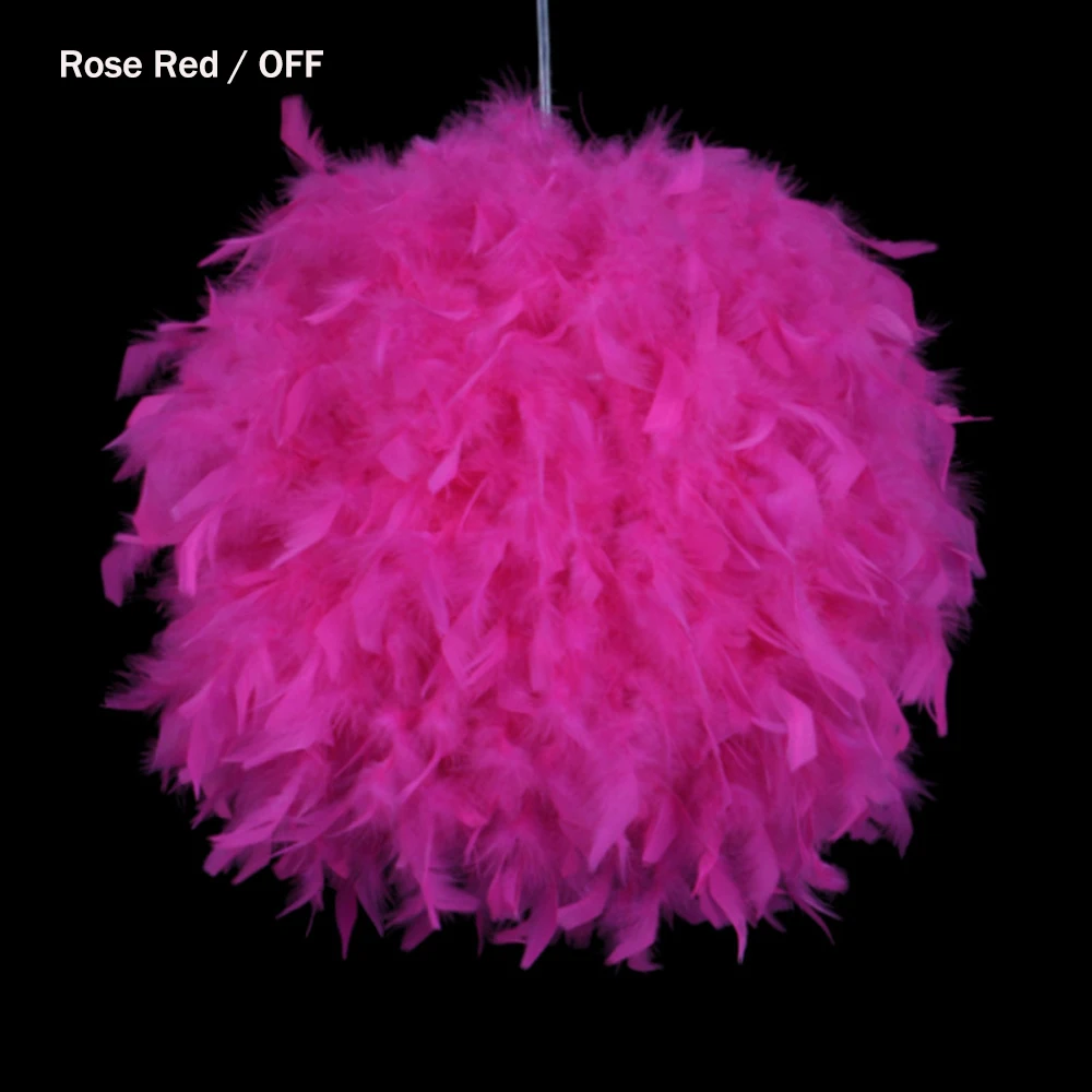 11785122550_1950745065