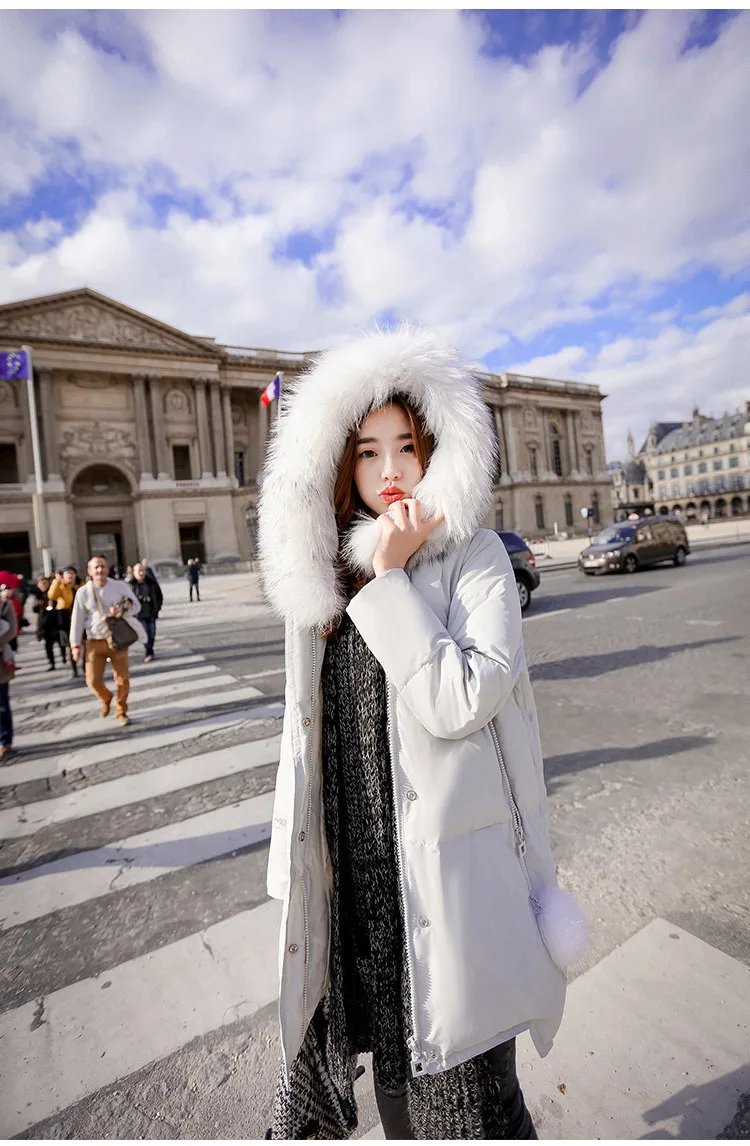 TB2zJ1wgVXXXXXQXpXXXXXXXXXX_!!