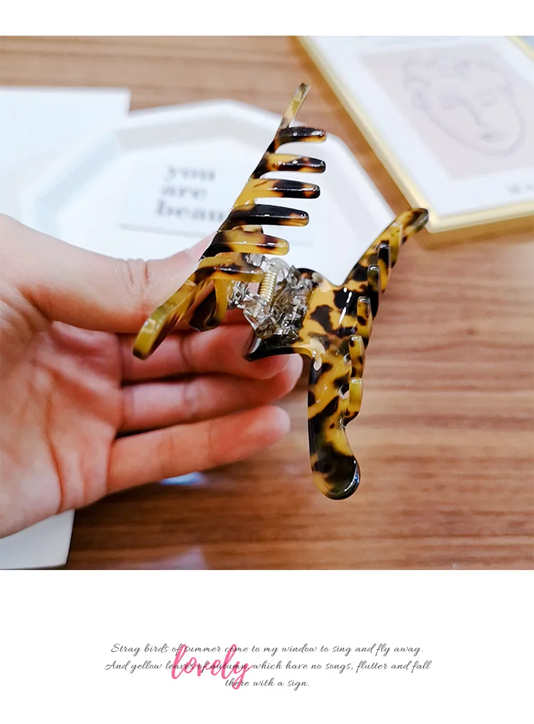 14158167218_1639800123