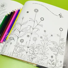 Secret Garden английская версия окраски живописи Детский подарок