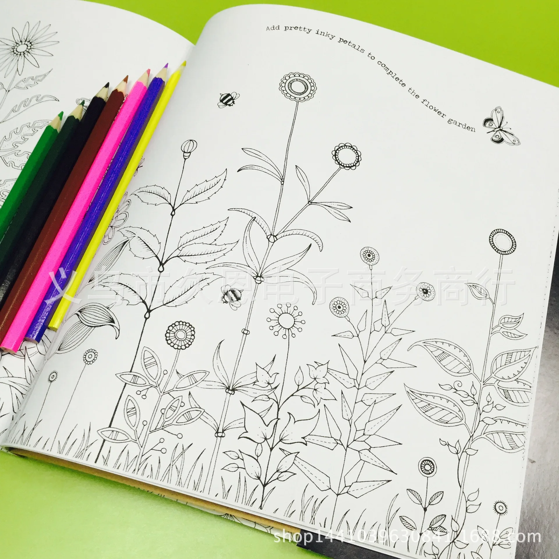 

Secret Garden English Version Coloring Painting Children Gift