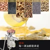 Manual Oil Press Machine Peanut Sunflower Seed Walnut Coconut Mini Home Use 5