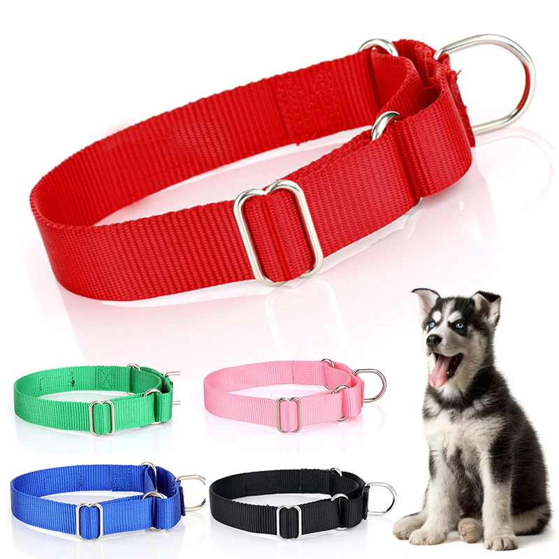 Collar con hebilla de aleación para perro y gato, Collar de tamaño ajustable para perros pequeños y medianos, suministros para perros, al por mayor|Collares| - AliExpress