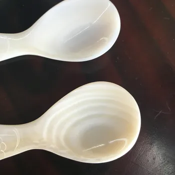 

Whole Shell Spoon Fish Shape Conch Spoon Coffee Scoops 3pcs/lot Dessert Caviar Kitchen Tool