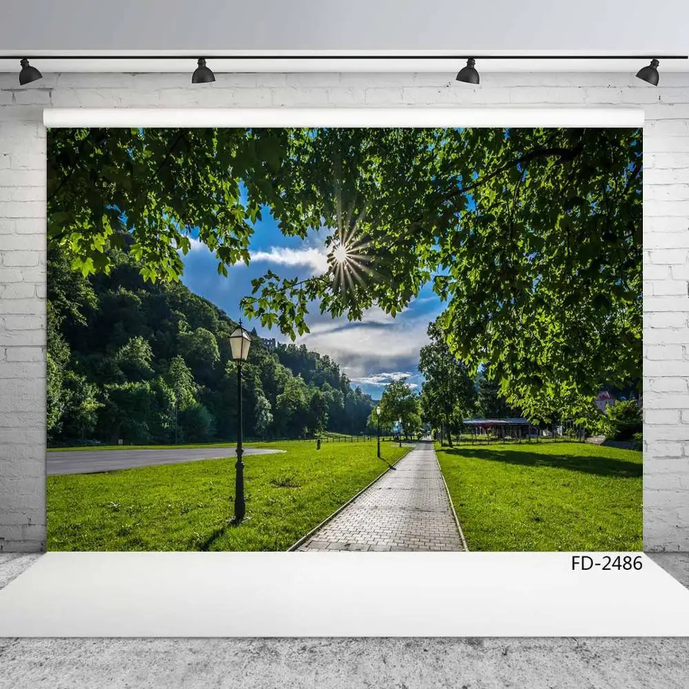 Spring Grass Path Woods Park Sun Scenery Portrait Children Young Photography Backgrounds Photographic Backdrops For Photo Studio |