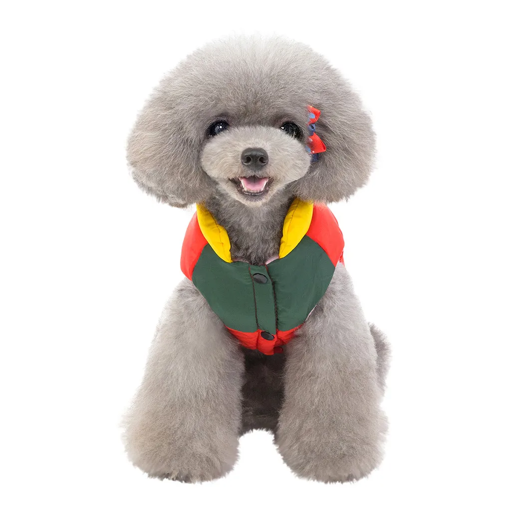 Transer Ropa Perro новые модные куртки для домашних животных Осенняя и удобная теплая одежда для кошек и собак 19Aug21 P30