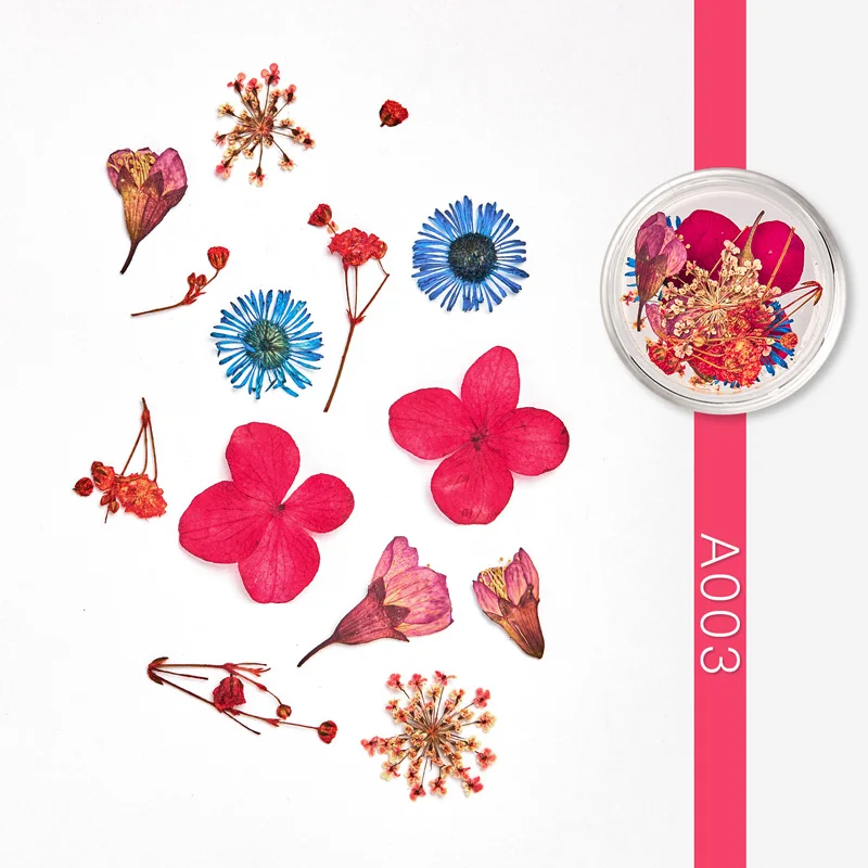 Смешанные сушеные цветы 3D сухие цветочные украшения для ногтей ювелирные изделия натуральные Цветочные наклейки для ногтей дизайн УФ Гель-лак для маникюра - Цвет: DS09175