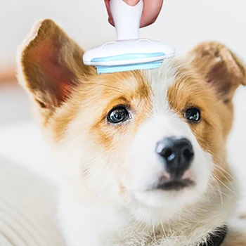 

Pet Fur Trimming Cleaning Brush Cat Dog Hair Removal Needle Comb Open Knot Rake Furniture Sofa Clothes Cleaning Lint Brush