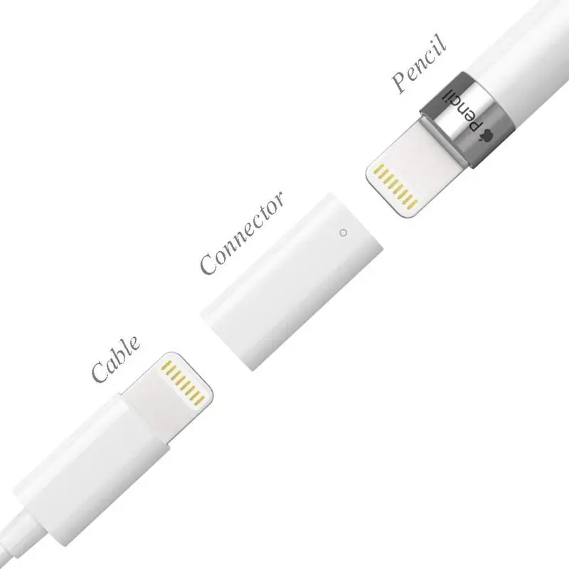 Apple Pencil, Female-Female  ĿͿ ȣȯǴ  