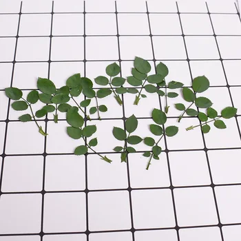 

12pcs/bag Rose leaf hay Pressed embossed hay Dried flowers Epoxy phone case diy Plant specimens