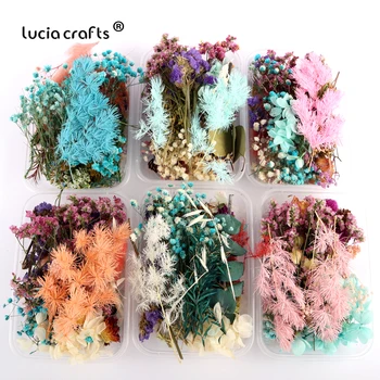

Lucia Crafts Random Dried Flowers Real Dry Plants Aromatherapy DIY Necklace Jewelry Making Frame Craft Accessories B0705