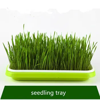 

Bean Sprouts Double-layer Dishes Plate Seedling Tray Plastic Hydroponic Flower Basket Flower Plant Home Garden Nursery Pots