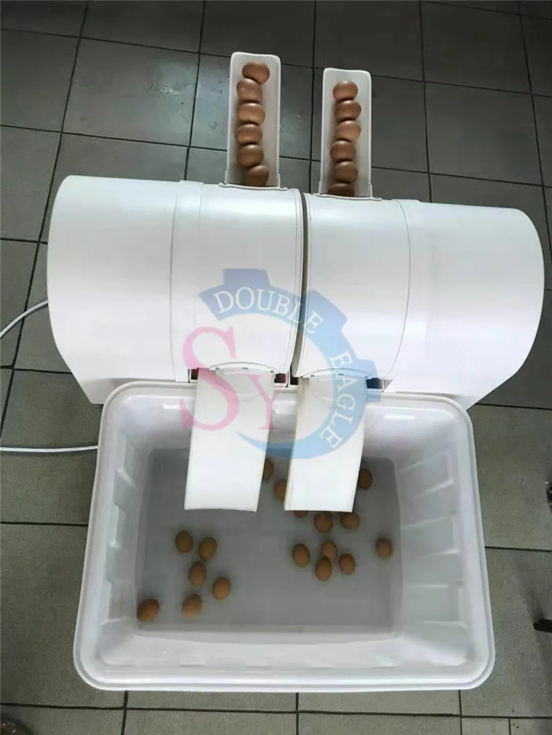 https://ae01.alicdn.com/kf/Hbb104ff13f79493ca795c3ea7aabb17dv/JZSY-Low-price-Industrial-egg-washer-and-cleaner-economic-duck-egg-cleaning-machine-large-stock-quail.jpg