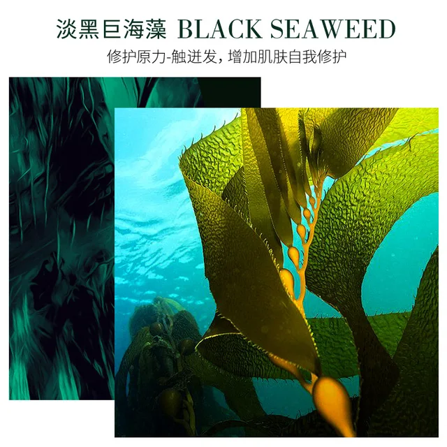Deep Sea Seaweed Face Serum Essence 40ml Serum Facial Whitening Oil And Acne Skin Essence Anti