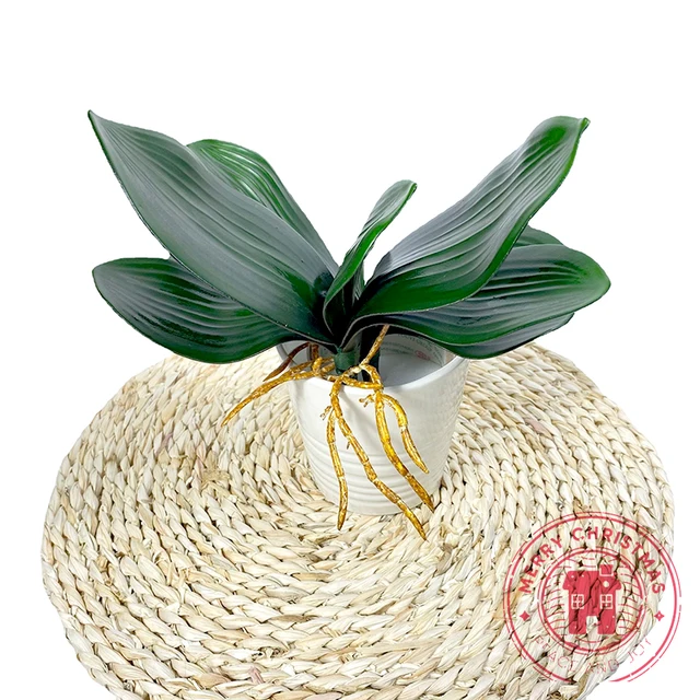 Új Szimulációs Növények Falaenopsis Levél Dekoratív Virágok Kiegészítő Anyag Virág Dekoráció Orchidea Levelek Mikrokori Táj - Image 6