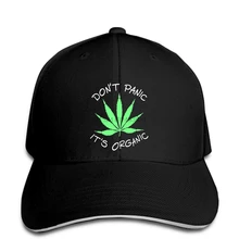Бейсболка Don't Panic it's Organic Weed Mary Black t' smoke Hat остроконечная Кепка
