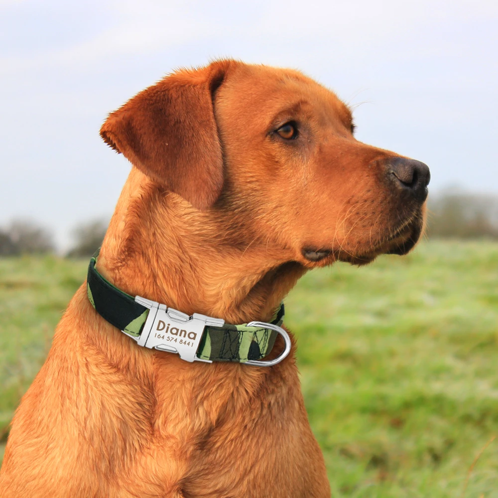 Nylon Pet Custom Nameplate Large Collar Medium Adjustable Cat Tag Dog ID Engraved Dogs Collars For Puppy Dog Collar Personalized