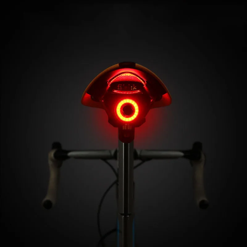

Bike Bicycle Light Waterproof Intelligent Induction Brake Tailight 100 LM 6 Mode LED Night Riding Safety Warning MTB Rear Light