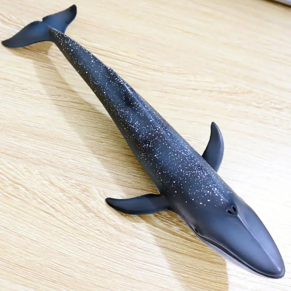 

Kids Simulation Whale Model Toy Ocean Sealife Animals PVC Model Kids Learning Toy Gift Table Decor 27cm