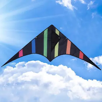 

Triangle Black Kite Toys With 30m Line Professional Dual Line Stunt Handle And Line Good Flying Kites Children Outdoor Toy