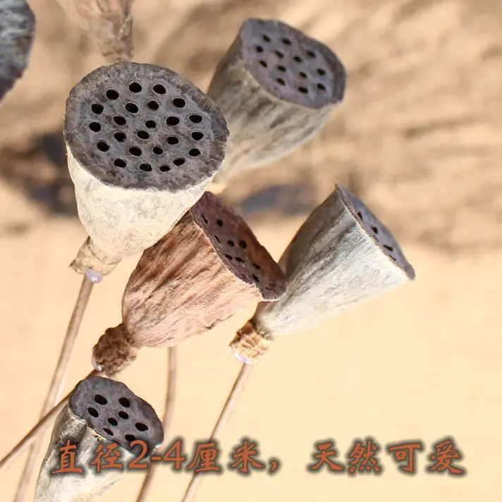 10 шт. Натуральные сушеные цветы цветы|natural dried flowers|dried flowersflower flower |