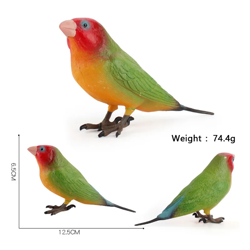 Simulation Bird Models Budgerigar Cockatoo Macaw Parrot Simulated Birds Action Figures PVC Figurine Toys For Kids Education Gift bumblebee transformer toy